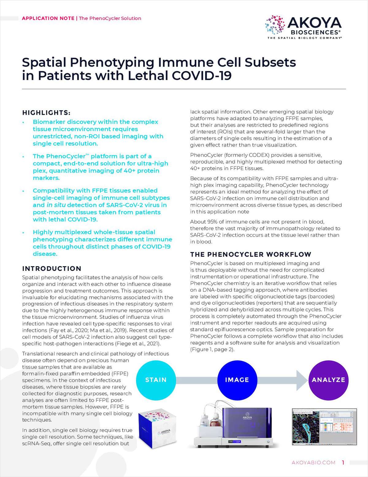 Spatial Phenotyping Immune Cell Subsets in Patients with Lethal COVID-19