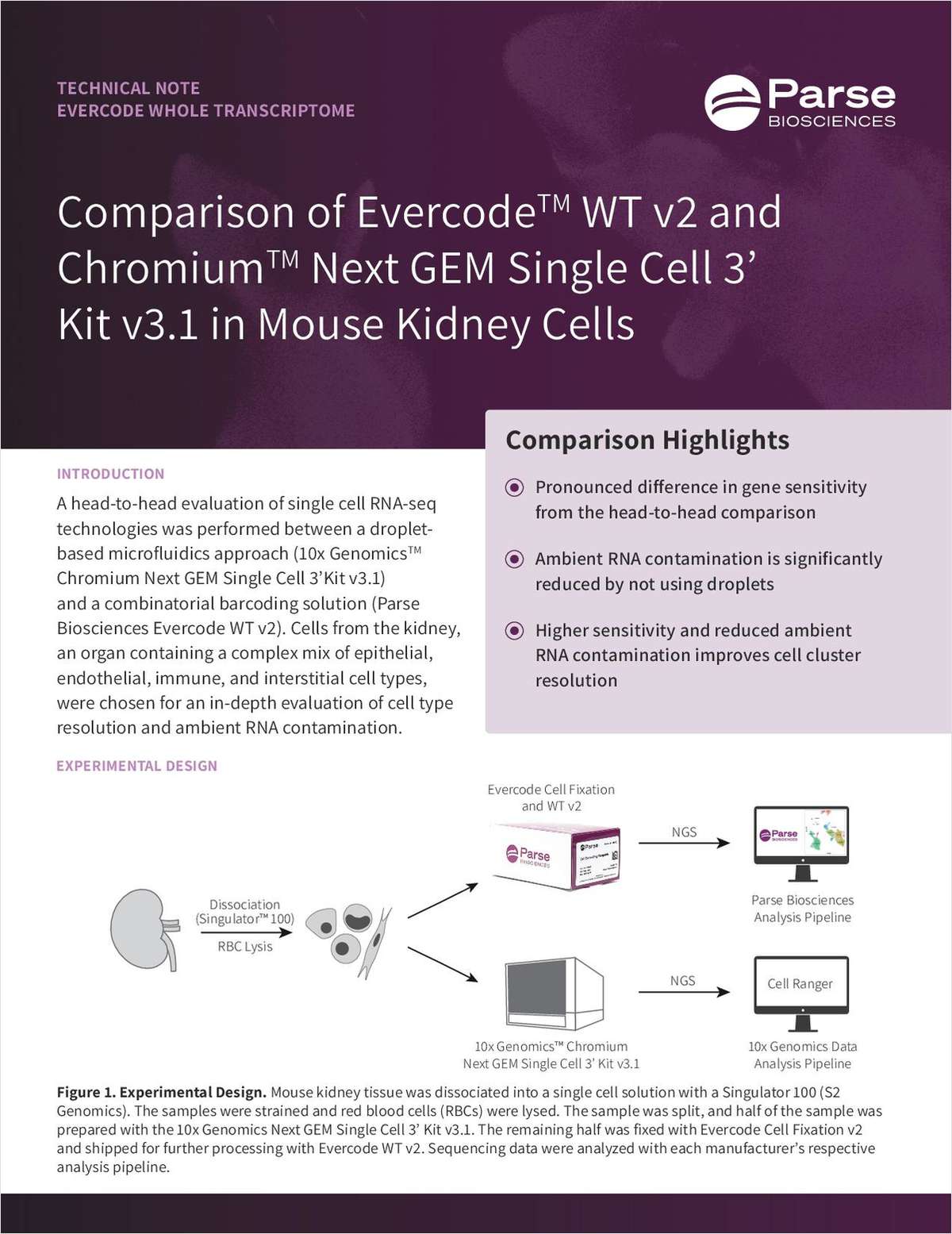 Ambient RNA Cross-Contamination Comparison Between Evercode WT v2 and Chromium Next GEM Single Cell 3' Kit v3.1 in Mouse Kidney Cells