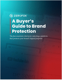 A Buyer's Guide to Brand Protection