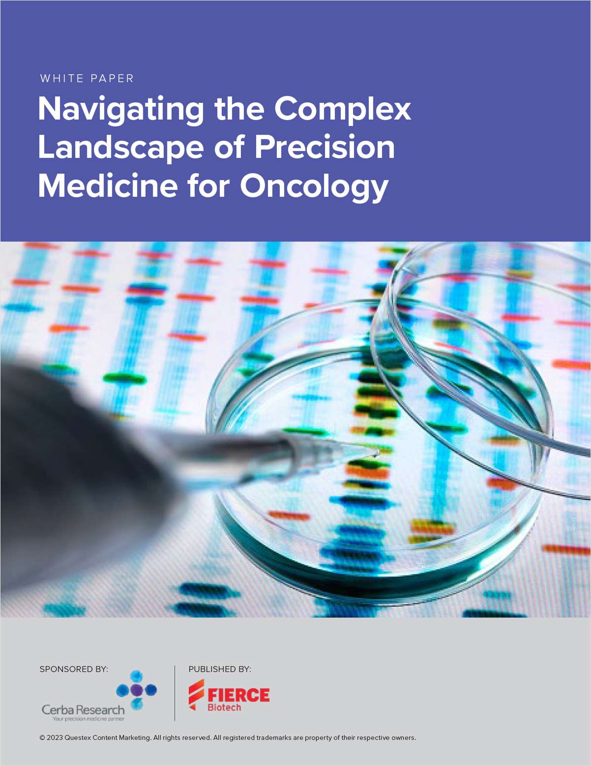 Navigating the Complex Landscape of Precision Medicine for Oncology 