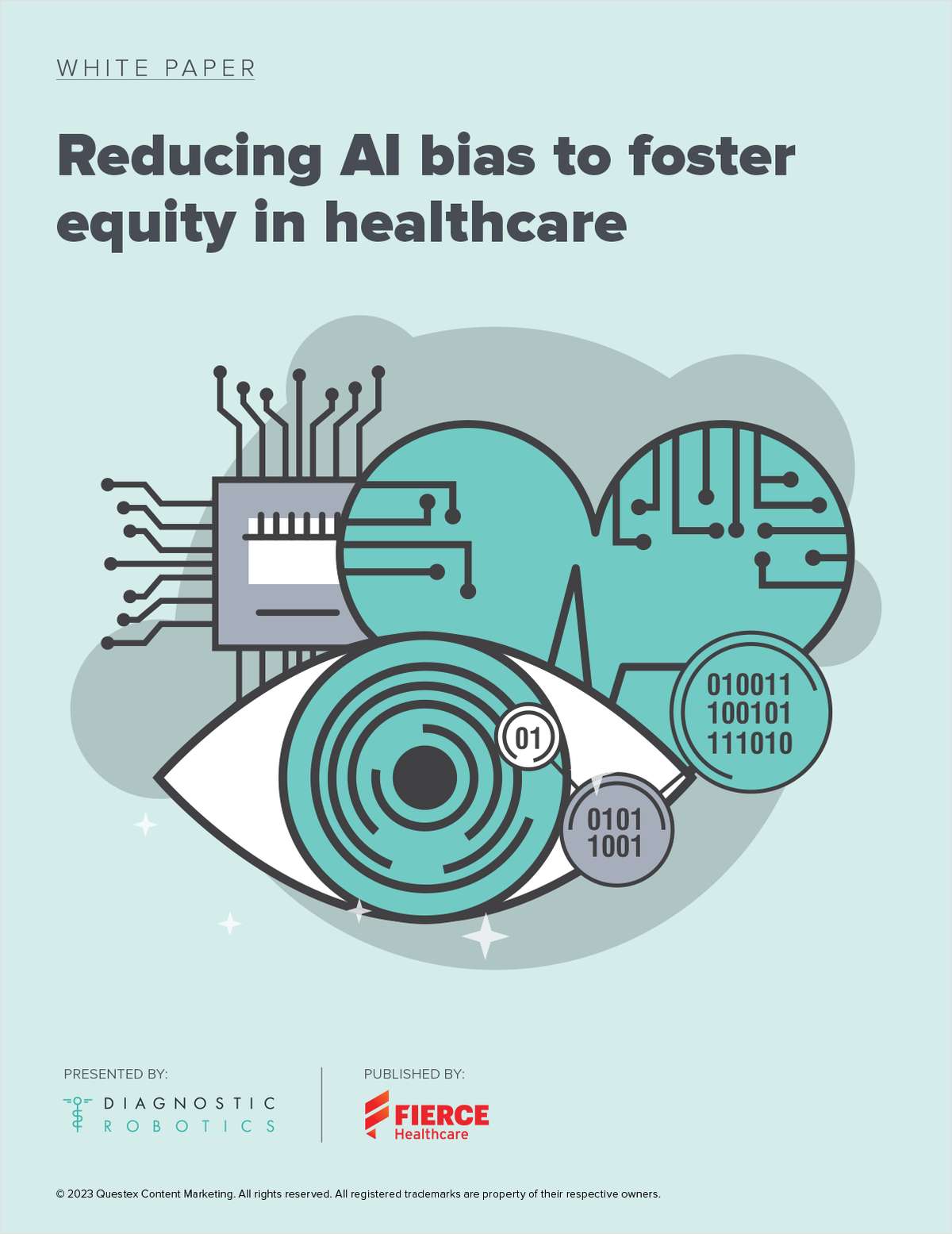 Leveraging Data Analytics to Foster Equity in Healthcare