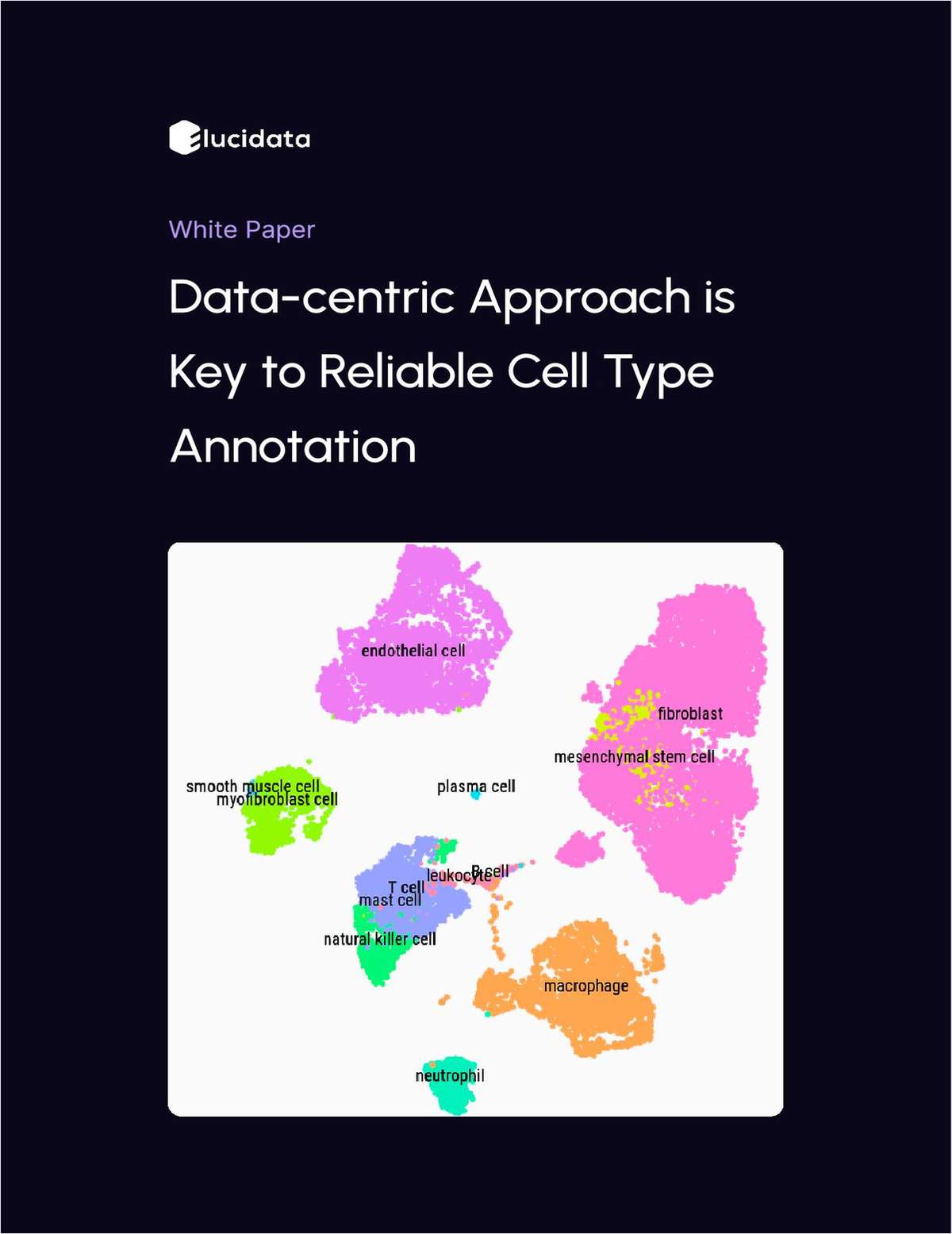 Data-Centric Approach is Key to Reliable Cell Type Annotation
