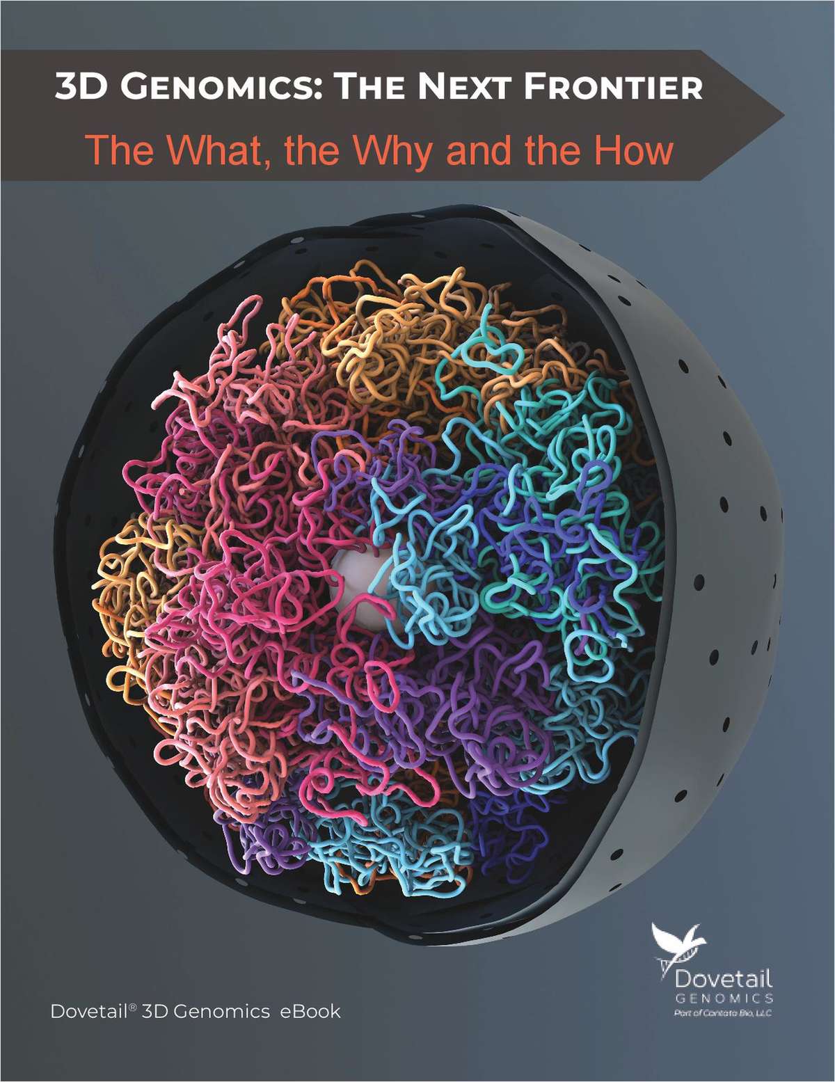 3D Genomics: The Next Frontier -- The What, the Why, and the How