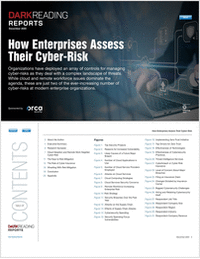 How Enterprises Assess Their Cyber-Risk