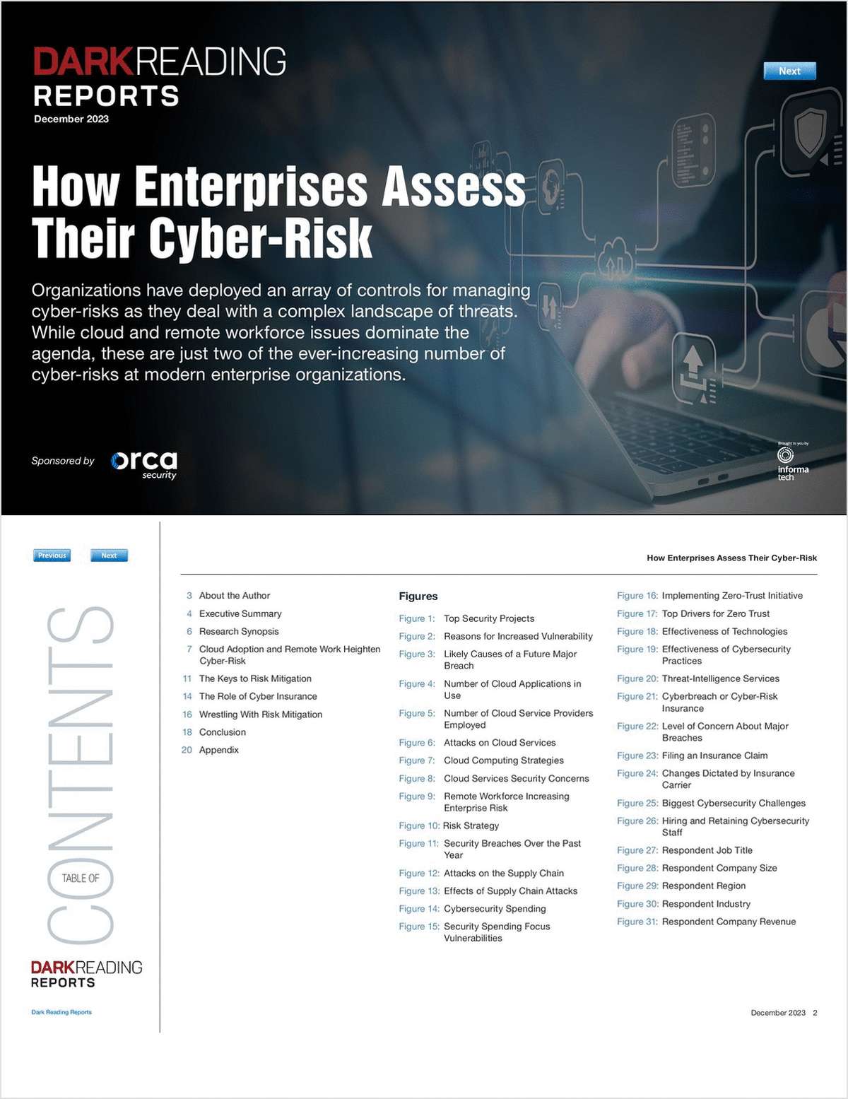 How Enterprises Assess Their Cyber-Risk