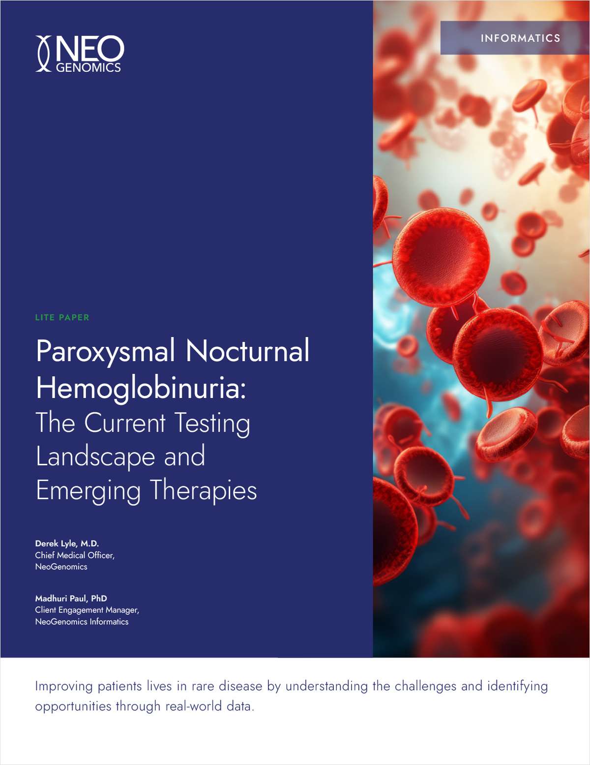 Paroxysmal Nocturnal Hemoglobinuria: The Current Testing Landscape and Emerging Therapies