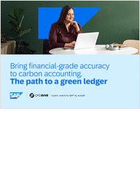 The Path to a Green Ledger