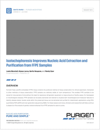 Isotachophoresis Improves Nucleic Acid Extraction and Purification from FFPE Samples