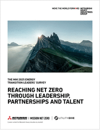 The Strategies Energy Leaders Are Using To Reach Net Zero