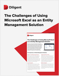 The Challenges of Using Microsoft Excel as an Entity Management Solution