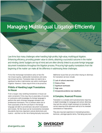 Managing Multilingual Litigation Efficiently