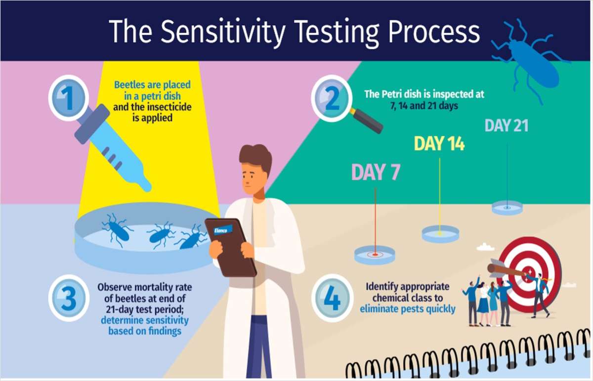 Darkling Beetles Signal Significant Poultry Food Safety Challenges
