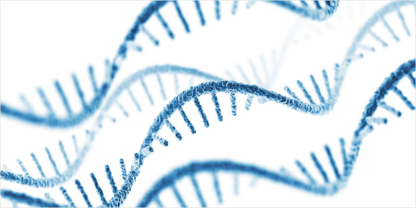 The Latest Developments in RNA Therapies