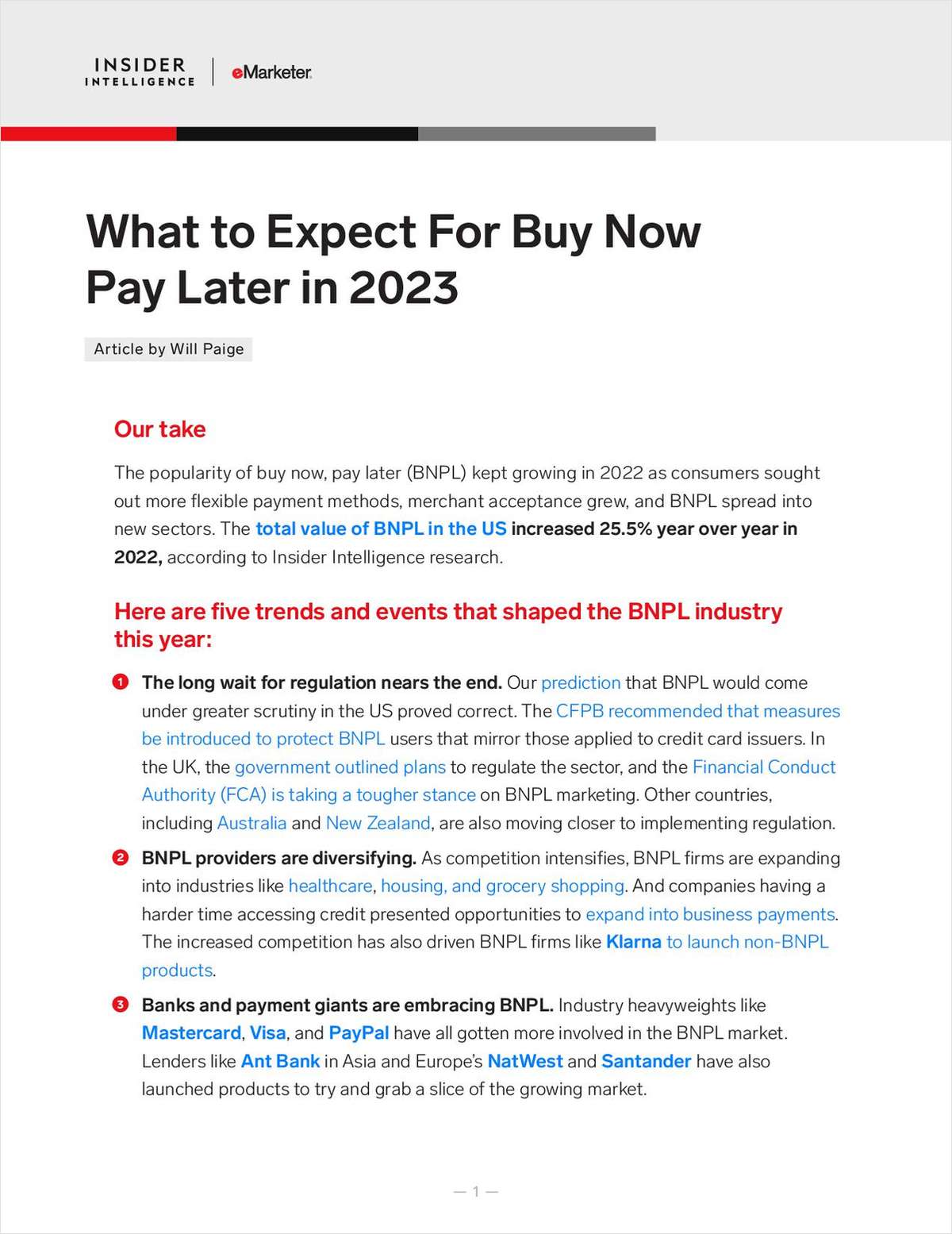 Request Your Free Report Now:  What to Expect For Buy Now Pay Later in 2023
