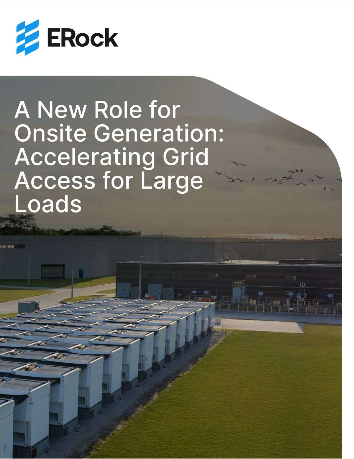 A New Role for Onsite Generation: Accelerating Grid Access for Large Loads