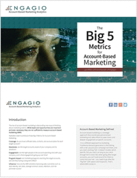 The Big 5 Metrics for Account-Based Marketing