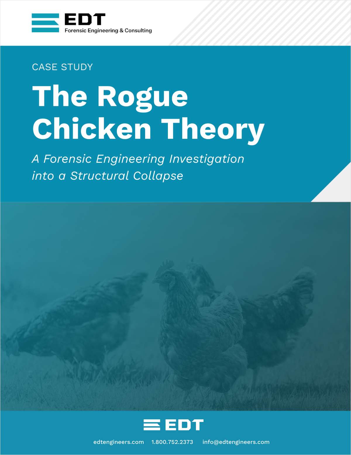 The Rogue Chicken Theory - A Forensic Engineering Investigation into a Structural Collapse