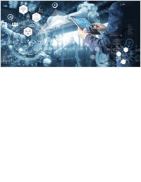 Adapt & Transform: Seize the Economic Upswing