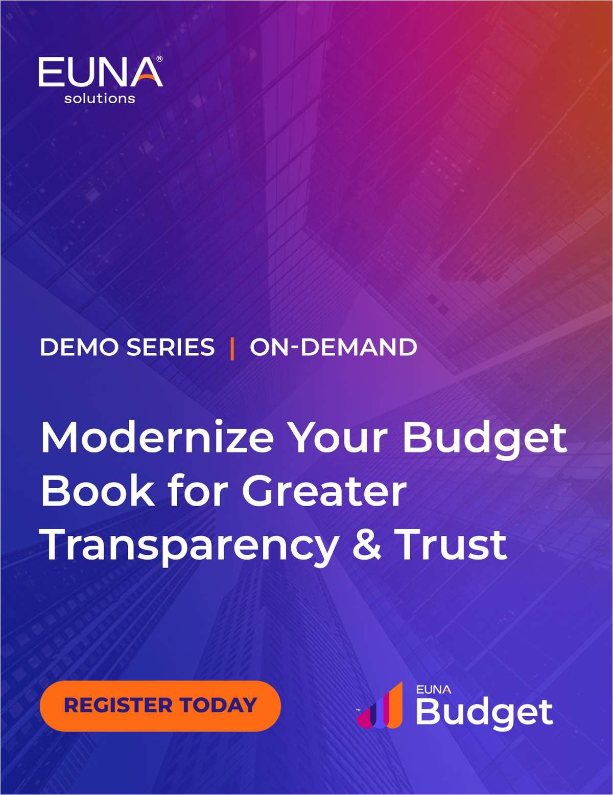 Making the Budget Book Digital, Accessible, and Impactful
