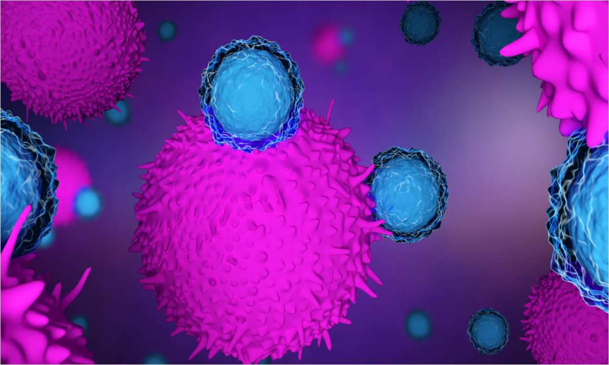 The Latest Developments in Oncology Research