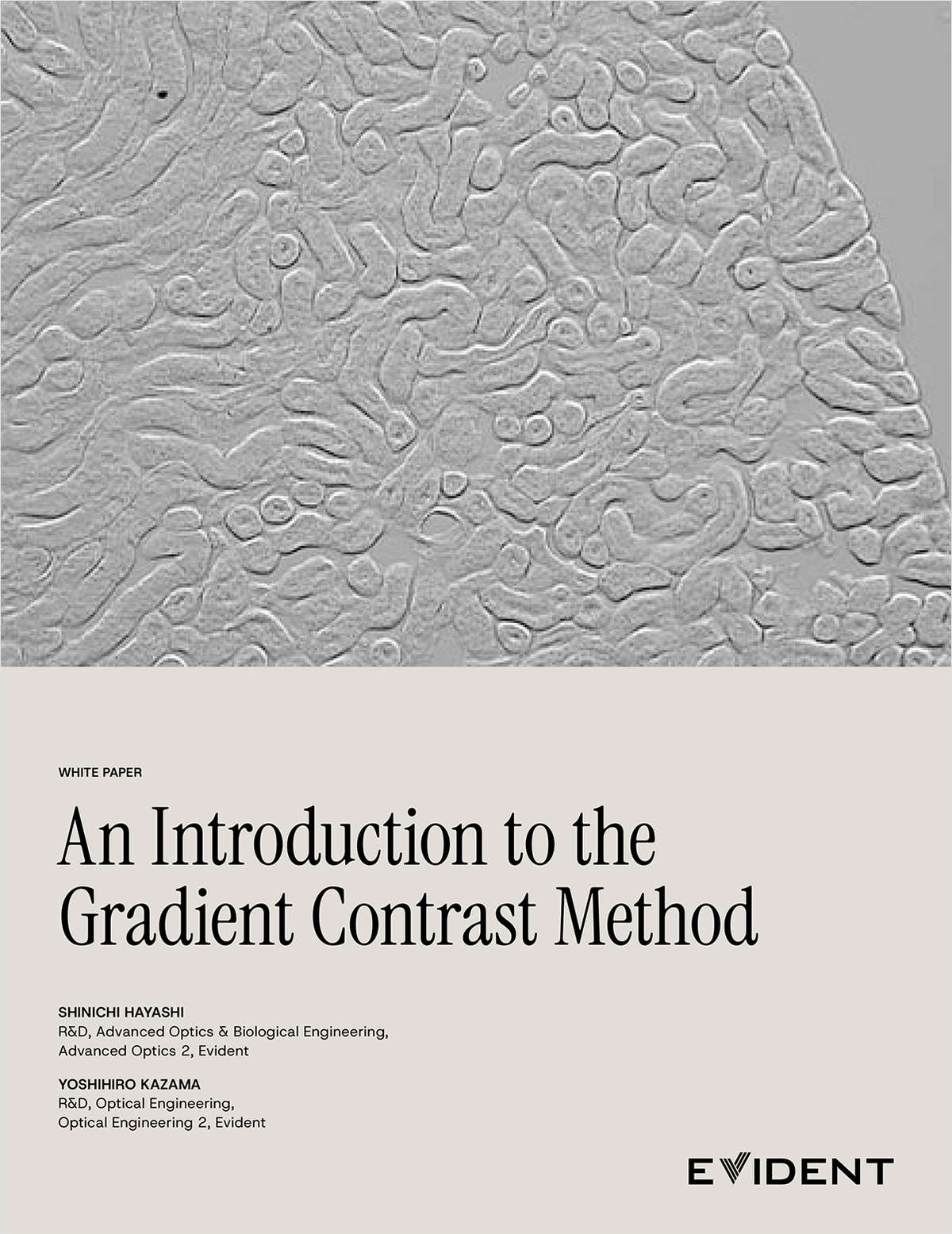 A Simpler Way to Visualize Transparent Specimens
