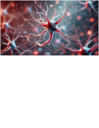 Experts Talk: High-Sensitivity Biomarkers in Neuroscience