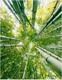 A call to action for building resilient portfolios