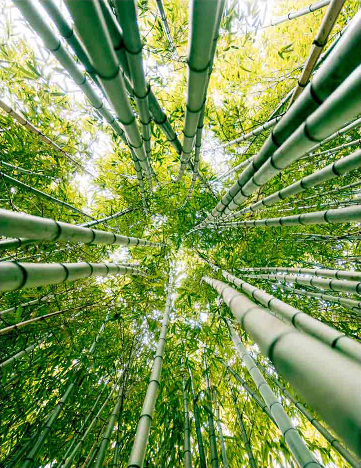 A call to action for building resilient portfolios