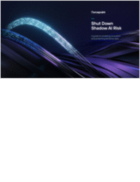 Shut Down Shadow AI Risk