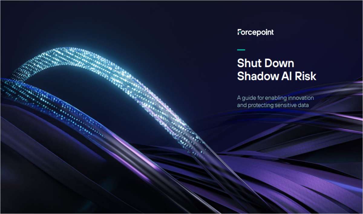 Shut Down Shadow AI Risk