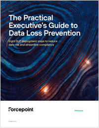 The Practical Executive's Guide to Data Loss Prevention
