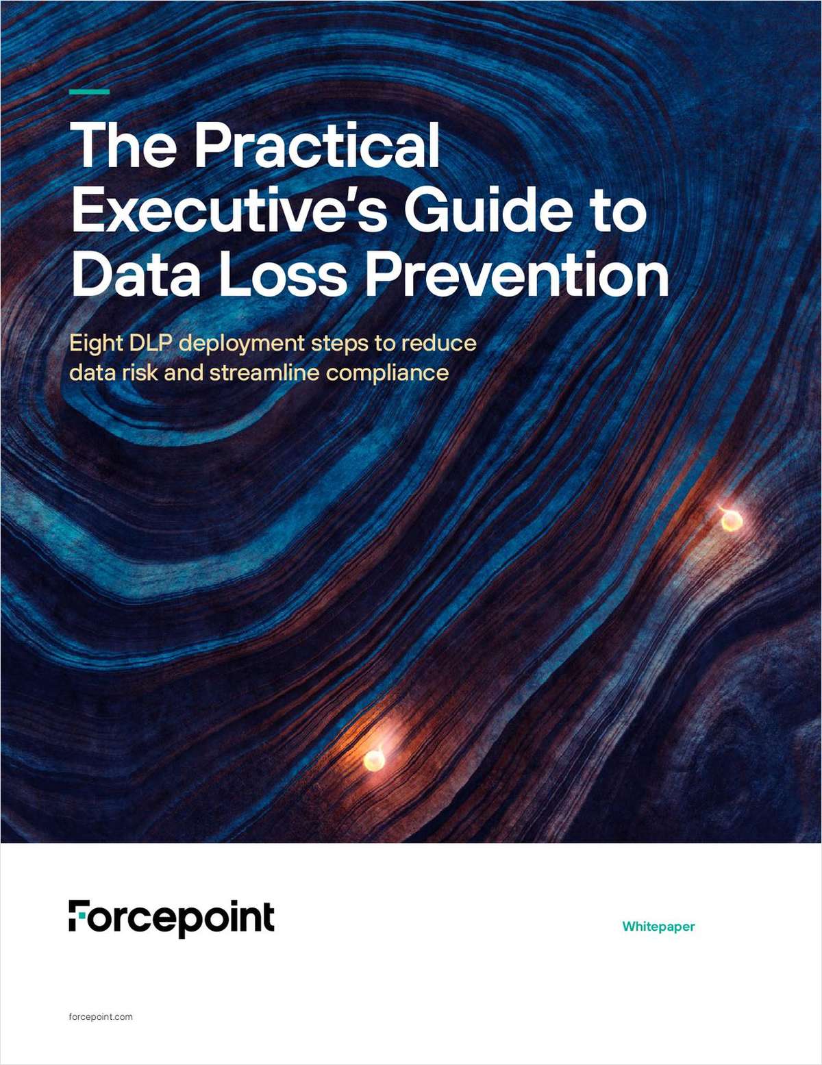 The Practical Executive's Guide to Data Loss Prevention