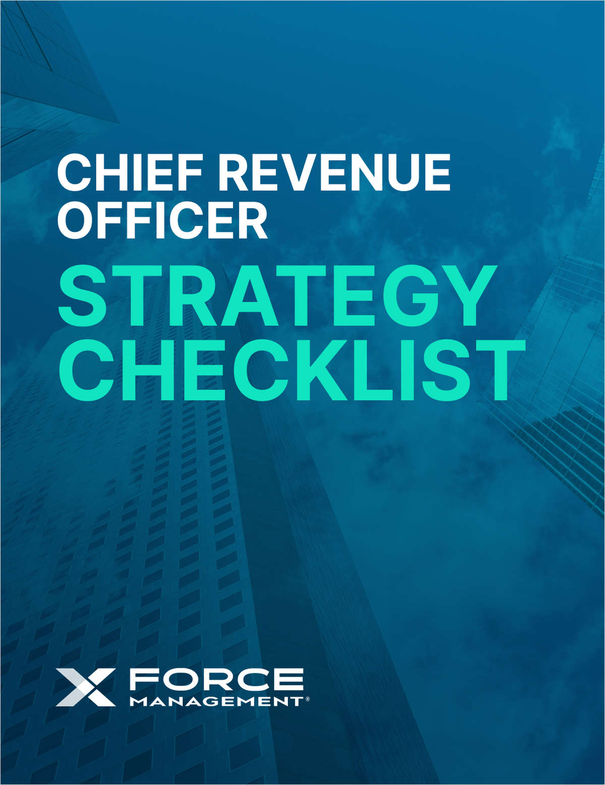 Chief Revenue Officer Strategy Checklist