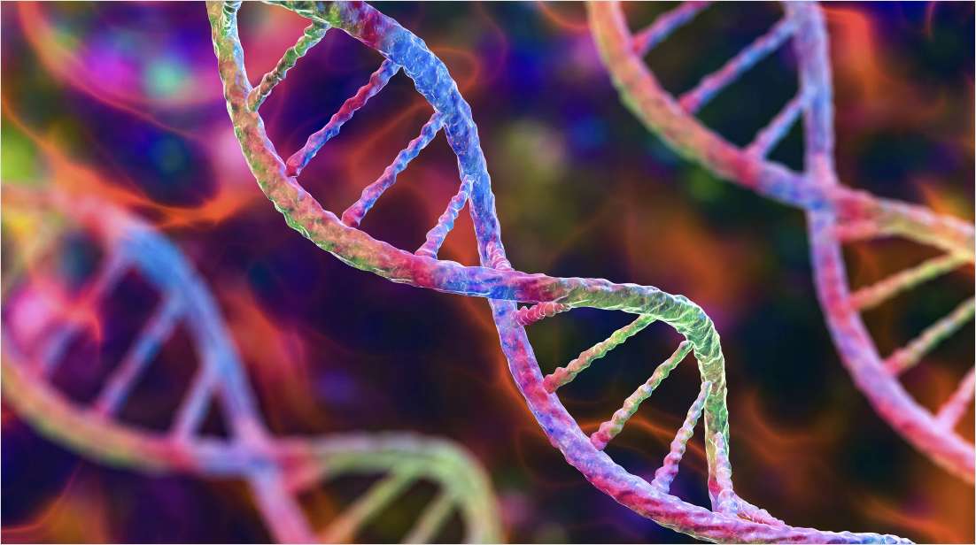 The Latest Developments on the Gene Therapy Frontier