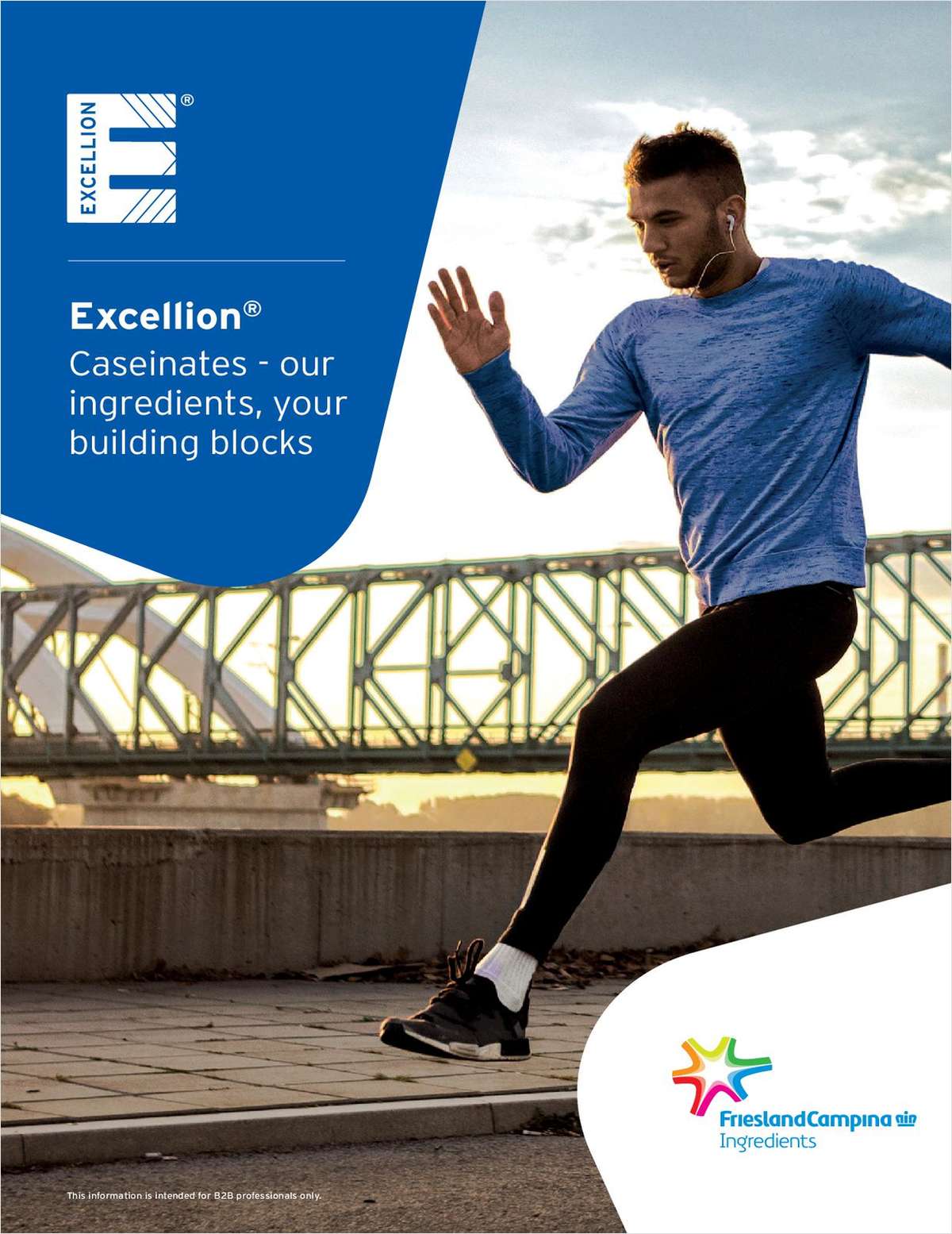 Excellion® Caseinates - Our Ingredients, Your Building Blocks