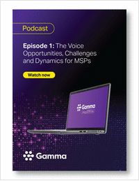 The Voice Opportunities, Challenges and Dynamics for MSPs