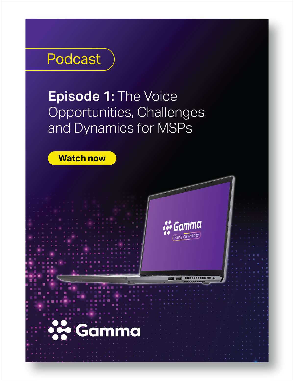 The Voice Opportunities, Challenges and Dynamics for MSPs