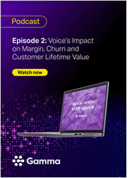 Voice's Impact on Margin, Churn and Customer Lifetime Value
