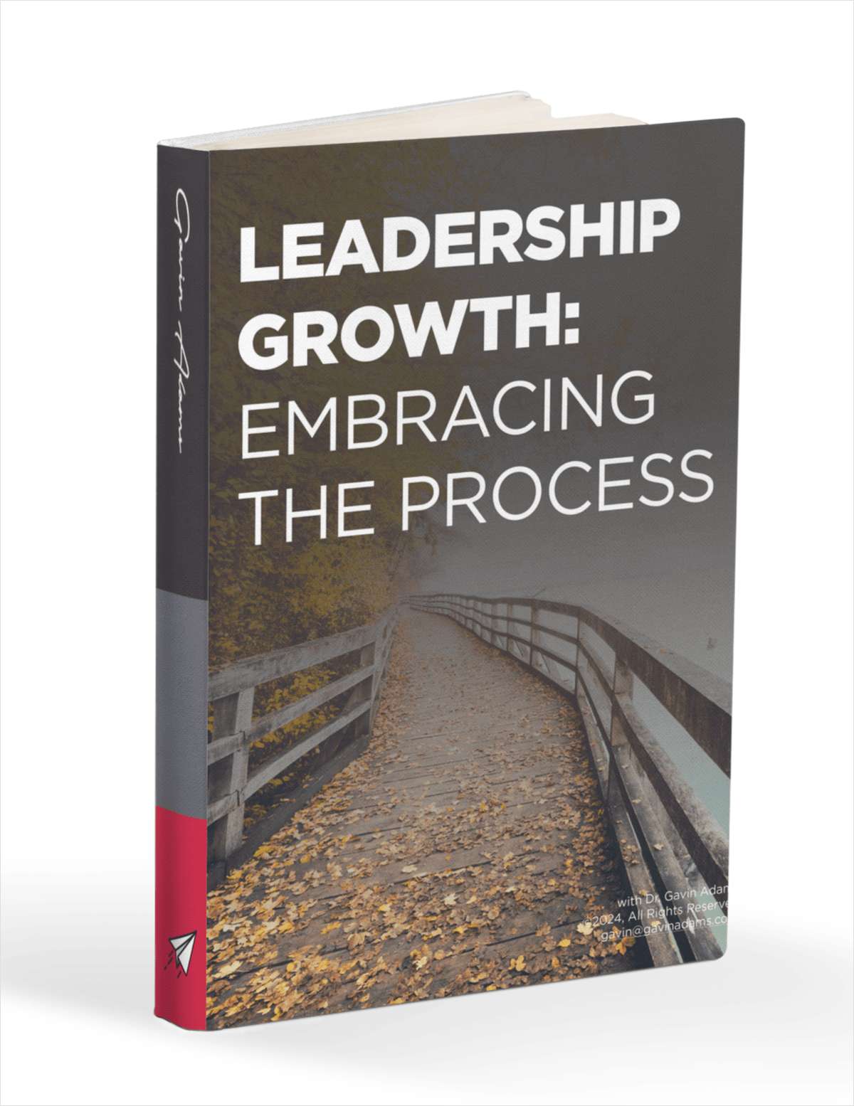 Leadership Growth: Embracing the Process