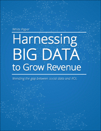Harnessing BIG DATA to Grow Revenue