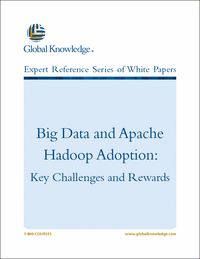 Big Data and Apache Hadoop Adoption