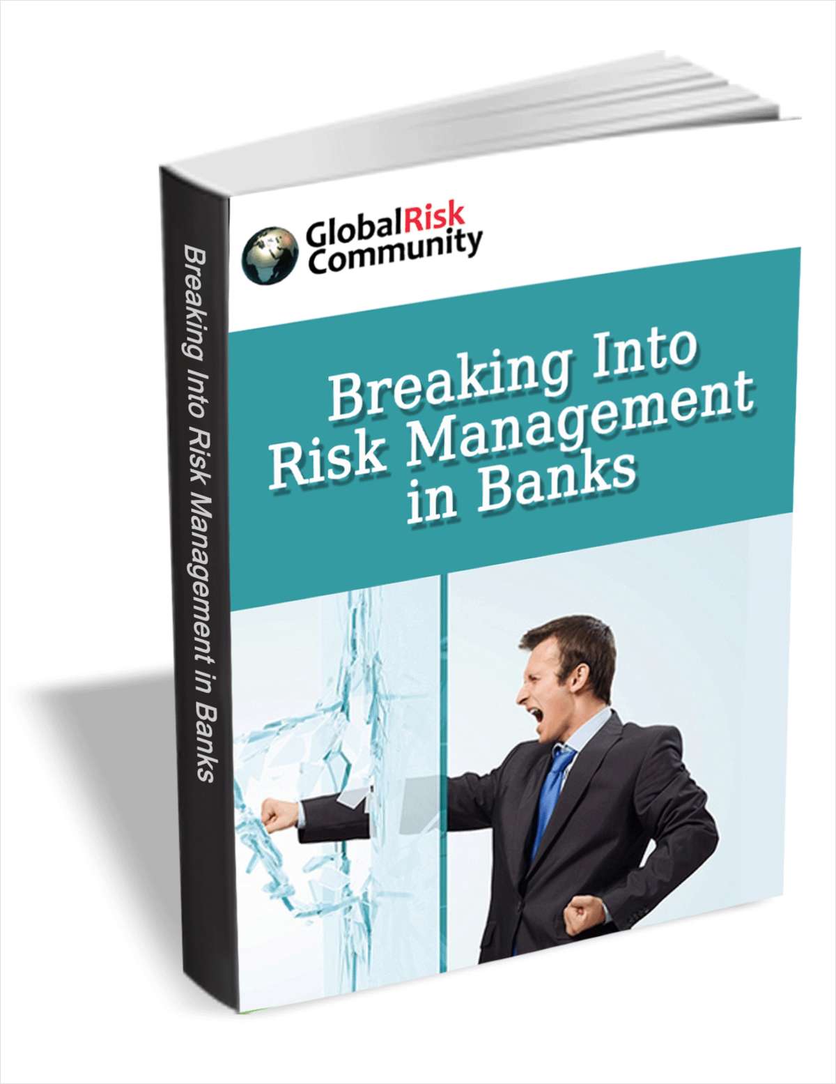 Breaking Into Risk Management in Banks (FREE eBook Training Course) A $47 Value!