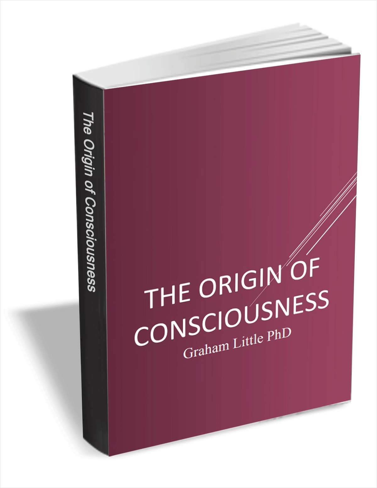 The Origin of Consciousness