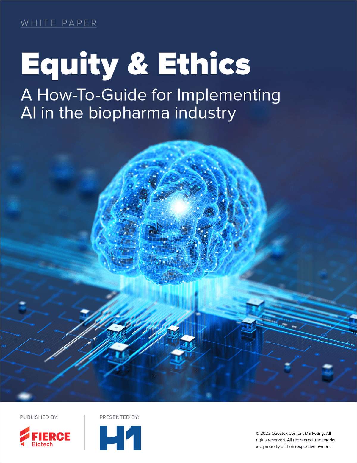 Equity & Ethics a How-To-Guide for Implementing AI in the Biopharma Industry