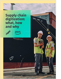 Supply Chain Digitization: What, How, and Why?