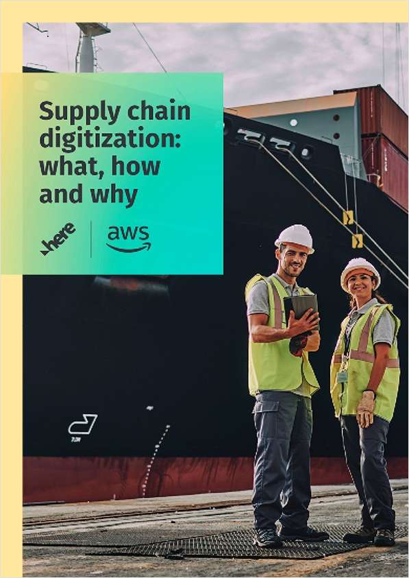 Supply Chain Digitization: What, How, and Why?
