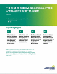The Best of Both Worlds: Using a Hybrid Approach to Boost IT Agility