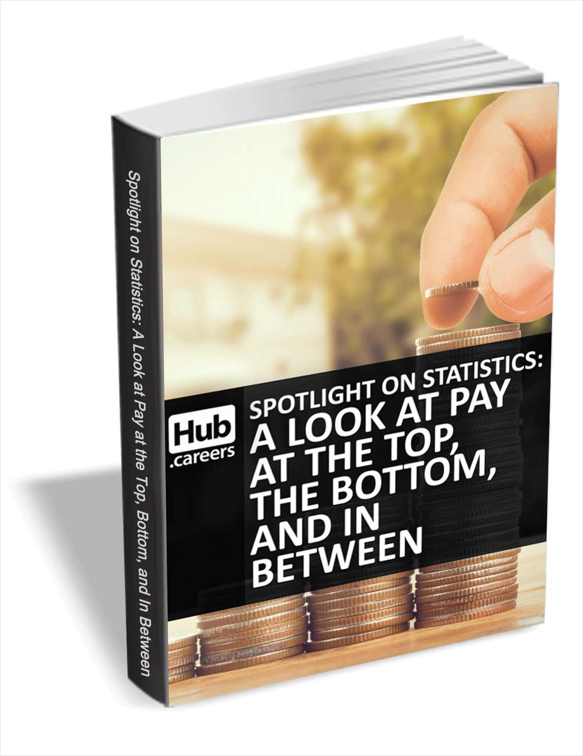 A Look At Pay At The Top, The Bottom, And In Between - Spotlight on Statistics
