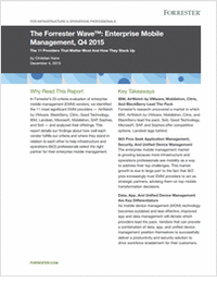 Forrester Wave: Enterprise Mobile Management Q3 2014, IBM is a Leader