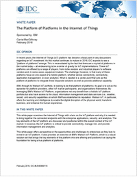The Platform of Platforms in the Internet of Things